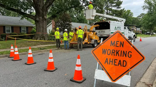 Tree Removal near BIG BEAR BEACH