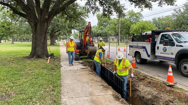 Tree Removal near HERNANDO BEACH