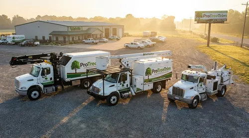 Florida Tree Removal service project