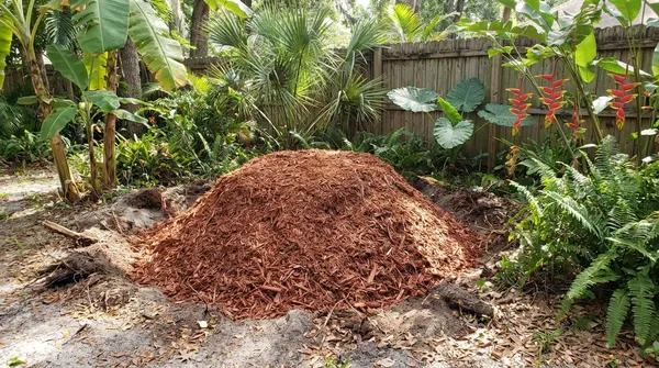 Stump Grinding near CLEARWATER PARK