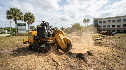 Florida Stump Grinding service project